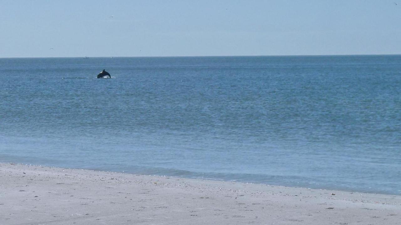 Sunset Beach House 3Br Villa St. Pete Beach Buitenkant foto